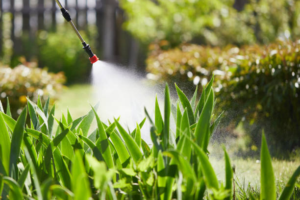 Tamper-Resistant Bait Stations for Rodents in Koontz Lake