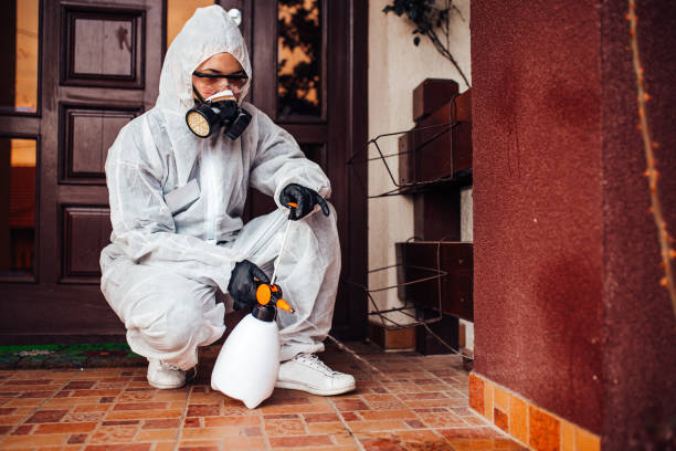 Attic and Crawl Space Rodent Treatment in Koontz Lake