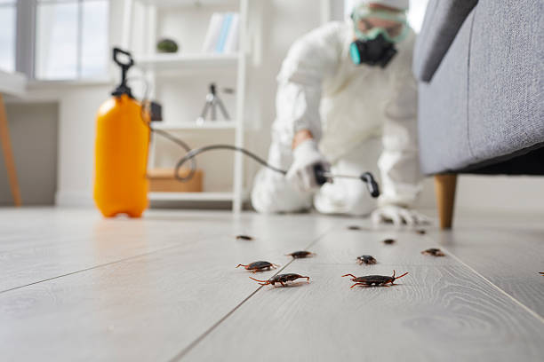 Commercial Rodent Management in Koontz Lake